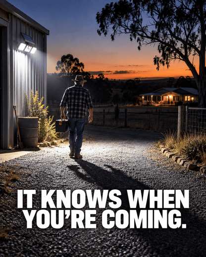Sentinel Solar Floodlight - Sentinel