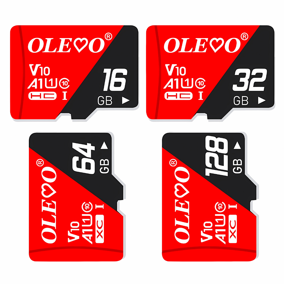 128GB SD Card - Sentinel